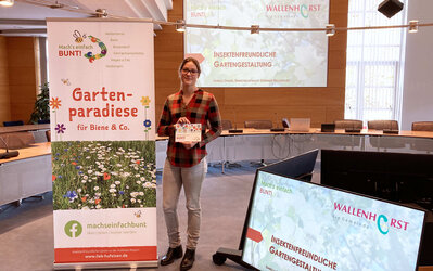 Informationsveranstaltung insektenfreundlicher Garten - ILE-Region Hufeisen Informationsveranstaltung insektenfreundlicher Garten