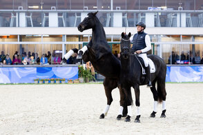 Horses & Dreams meets the Netherlands 2025
