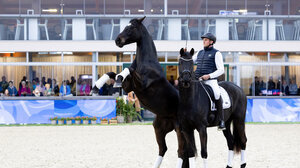 Horses & Dreams meets the Netherlands 2025
