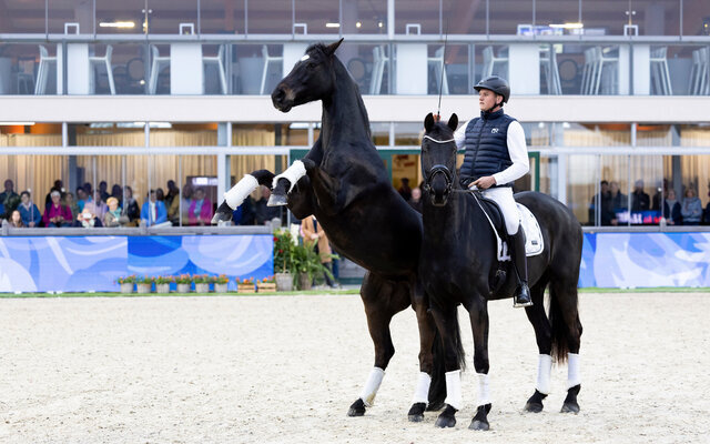 Horses & Dreams meets the Netherlands 2025
