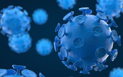 Hantavirus - pixelio.de_Christian Daum Hantavirus