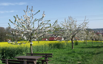 Kirschlehrpfad - Gemeinde Hagen a.T.W. Kirschlehrpfad
