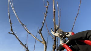 thumbnail_IMG_7301 - Kopie.jpg