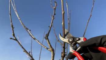 thumbnail_IMG_7301 - Kopie.jpg