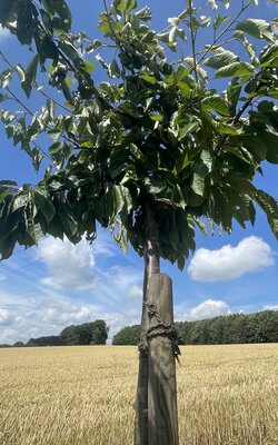 Erweiterung des Bildungsgutscheins - Gemeinde Hagen a.T.W. Erweiterung des Bildungsgutscheins