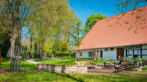 Waldfriedhof_Begegnungsort_Veranstaltungskalener_Newsletter.jpg