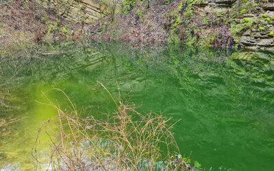 Führungen Silbersee_Foto Gerald Posch - Gerald Posch Führungen Silbersee_Foto Gerald Posch