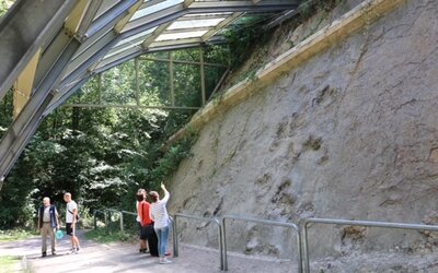 Familientag Saurierfährten 2022 - TERRA.vita Familientag Saurierfährten 2022