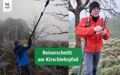 Reiserschnitt am Kirschlehrpfad - Gemeinde Hagen a.T.W. Reiserschnitt am Kirschlehrpfad