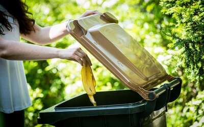 Awigo nützliche Tipps für die Biotonne
