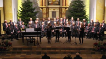 IMG_0488.jpeg - Stefan Franksmann IMG_0488.jpeg