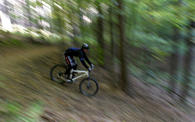 Mountainbike - Thomas Gerstmann - Team Free2Ride_pixelio.de Mountainbike
