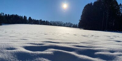 Schnee_Top News (600 x 300 px)