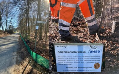 Amphibienzaun 480x300 - Gemeinde Hagen a.T.W. Amphibienzaun 480x300