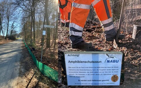 Amphibienzaun 480x300