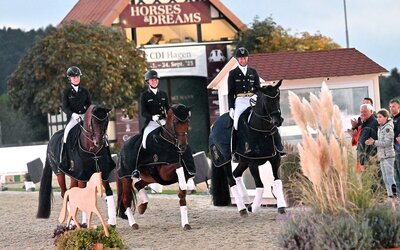 CDI Hagen a.T.W. - Mhisen CDI Hagen a.T.W.