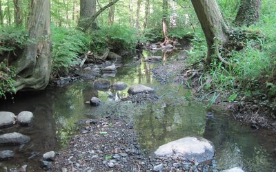Wassersparen LK OS - Landkreis Osnabrück Wassersparen LK OS