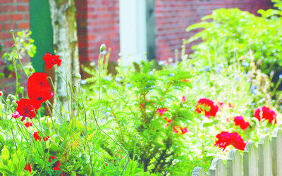 Ausschreibung_Stadt Osnabrück-Maxi Hase - Stadt Osnabrück_ Maxi Hase Ausschreibung_Stadt Osnabrück-Maxi Hase