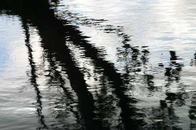 119-1922_IMG 119-1922_IMG