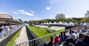 Horses & Dreams 2025
