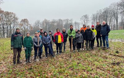 Pflanzung Schulwald - Gemeinde Hagen a.T.W. Pflanzung Schulwald