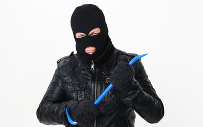 Räuber_original_R_K_B_by_Tim Reckmann_pixelio - Tim Reckmann_pixelio Räuber_original_R_K_B_by_Tim Reckmann_pixelio