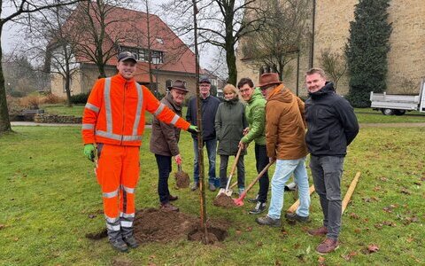 Baumpflanzaktion 2025