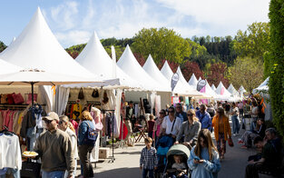 Horses & Dreams 2025
