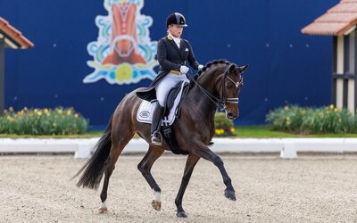 Horses and Dreams meets Portugal
